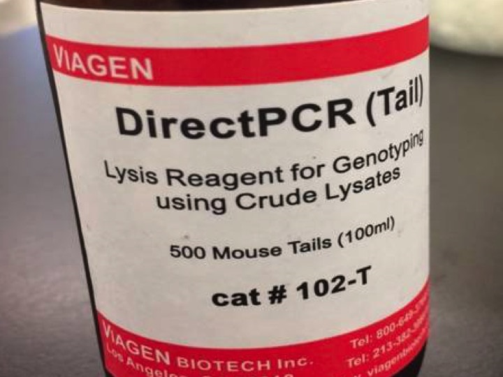 Direct PCR Lysis Reagent for Genotyping Kit/Reagent Review