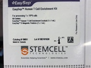 Great Kit for Isolating Human T Cells from Bulk Lymphocytes
