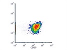 Good CD69 Antibody for Human T Cells