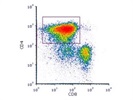 Good Antibody for Human CD4