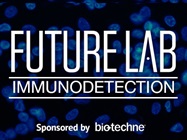 The Importance of IHC/ICC Controls