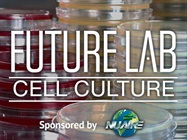 Video: CO2 Incubators Constant Contamination Control