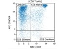 Good FITC Anti-Human CD197 (CCR7) Antibody from BioLegend