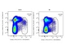 Anti-Mouse CD138 with Bright Fluorochrome and Little Spillover