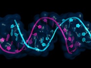Using miRNA and Gene Expression Profiling for Biomarker Discovery