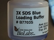 SDS-PAGE Sample Loading Buffer from NEB