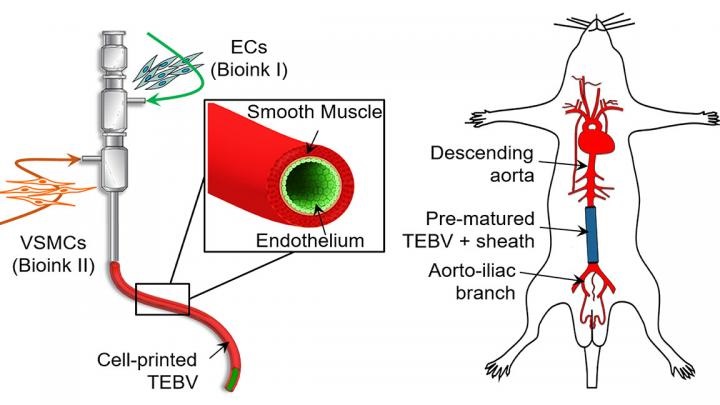 triple-coaxial cell printing