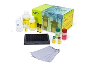 Bio-Plex Immunotherapy Panel
