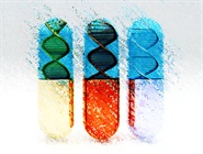 Selecting a Functional Genomic Screening Service Provider