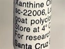 Time Course Effect of Xanthine Oxidase by Chemoattractant