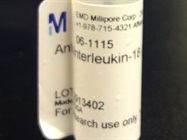 Time Course Effect of Anti-Interleukin-18 by Chemoattractant