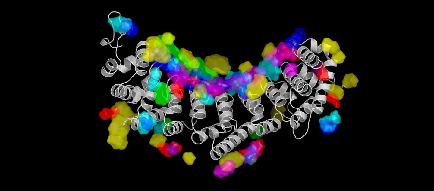 RNA-protein interactions