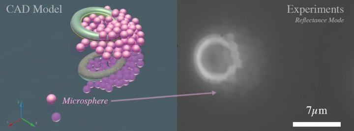 microtori