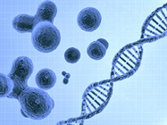 Sequencing Cell by Cell