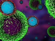 Reimagining Cancer: The Arrival of Immuno-Oncology