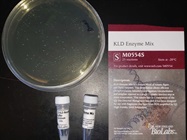 Efficient Site-Directed Mutagenesis