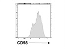 Robust Antibody to Analyze CD98 Expression in Cells