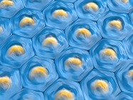 Benefits of Single-Nucleus RNA Sequencing