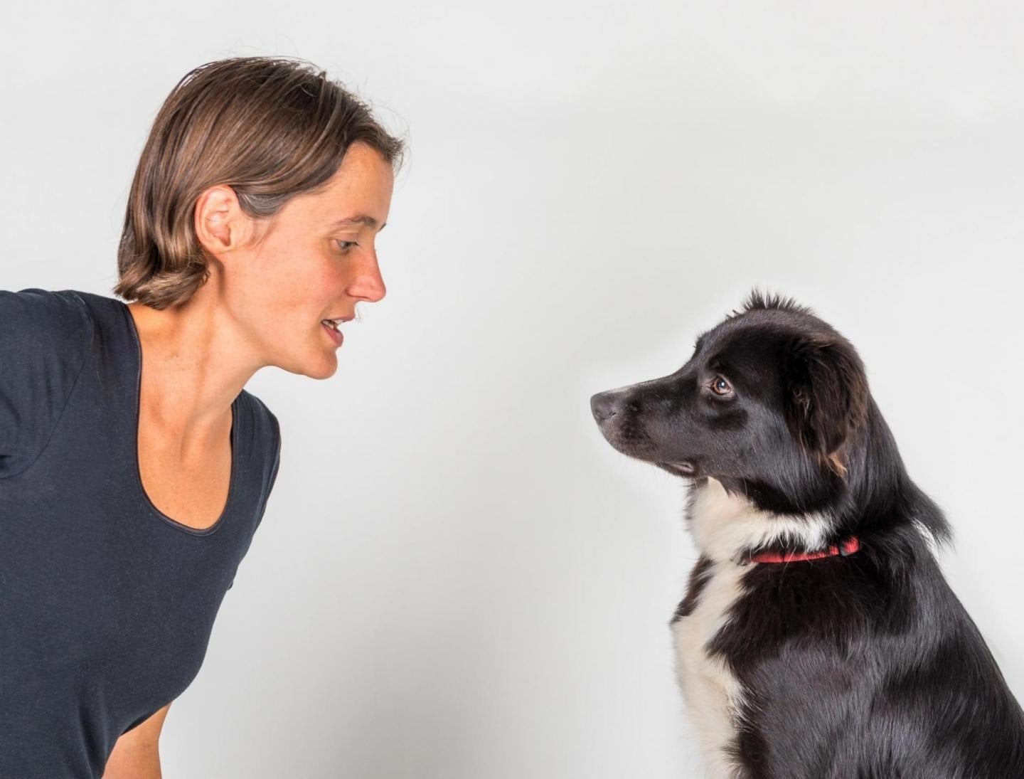 dog-human interaction