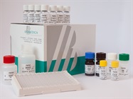Angiopoietin-2 ELISA – 25% off first order