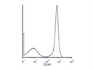 Great CD45 Antibody for Humans