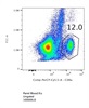 Easy-to-Use CD8a Antibody from BioLegend