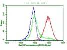 This BioLegend L1CAM Antibody Works Great!
