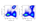Nice Flow Antibody to Identify CD8+ T Cells