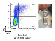 Easy-to-Use Protein Secretion Blocker for Intracellular Staining