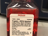 Great Digestion Solution to Trypsinize Cells