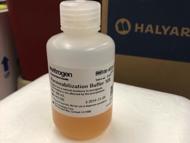 Permeabilization Buffer for Intracellular Transcription Factor Staining