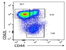 Very Good CD62L Staining