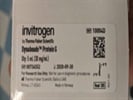Great Tools for Efficient Immunoprecipitation