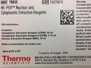 A Best Kit to Isolate Cytoplasmic and Nuclear Protein