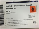 Best Transfection Reagent for Large-Sized DNA