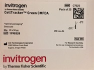 Good Reagent to Stain Mammalian Cells