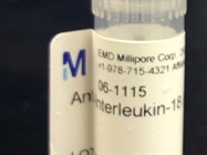A Good IL-18 Antibody from Western Blot