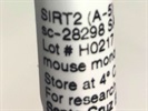 A Good SIRT2 Antibody for Western Blot