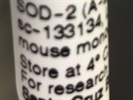 A Good SOD-2 Antibody for Western Blot