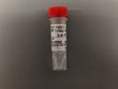 Consistent Results for Anti-Rabbit Secondary on Western Blot