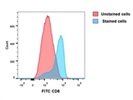 A Good CD8a Antibody from BioLegend