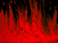 Cell-Free DNA: A Diagnostic Revolution in the Works?