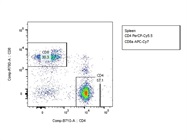 APC-Cy7 Anti-Mouse CD8a Antibody for CD8 T Cells