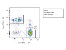PerCP-Cy5.5 Anti-Mouse CD4 Antibody for CD4 T Cells