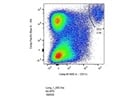 Brilliant Violet 605 Anti-Mouse CD11c Antibody