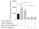 Great Tissue Factor Antibody for Activity Assays