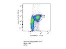FITC Anti-Mouse/Human CD45R/B220 Antibody from BioLegend