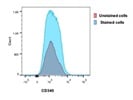 Working CD340 Antibody from BioLegend