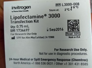Reverse Transfection of Plasmid into Glioma Stem Cells Using Lipofectamine 3000 Reagent