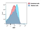 A Good Ki67 Antibody from BioLegend
